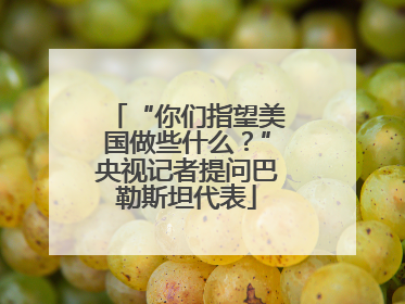 “你们指望美国做些什么？”央视记者提问巴勒斯坦代表